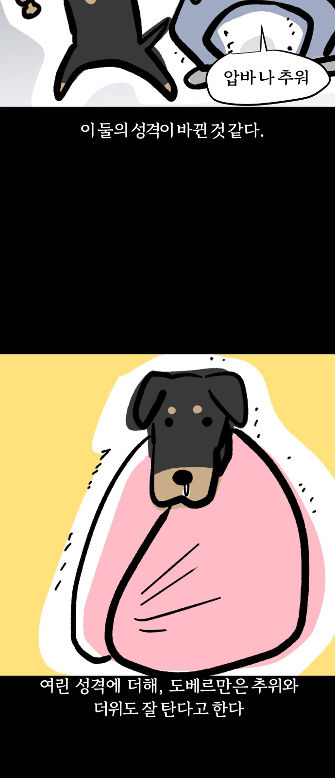 14 페이지