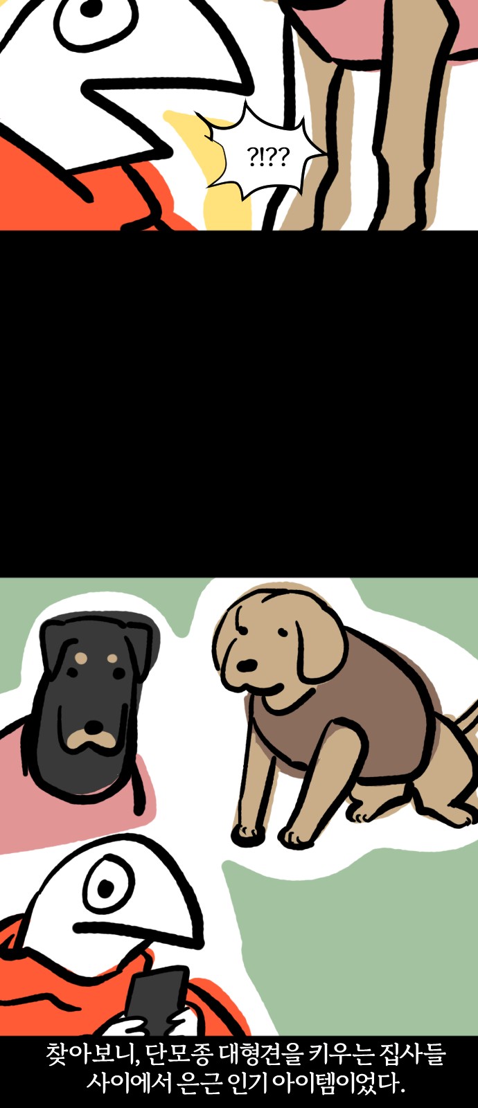 19 페이지