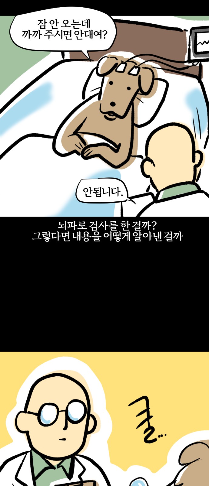 13 페이지