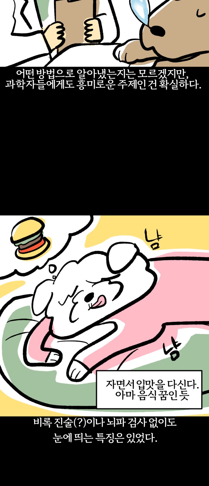 14 페이지