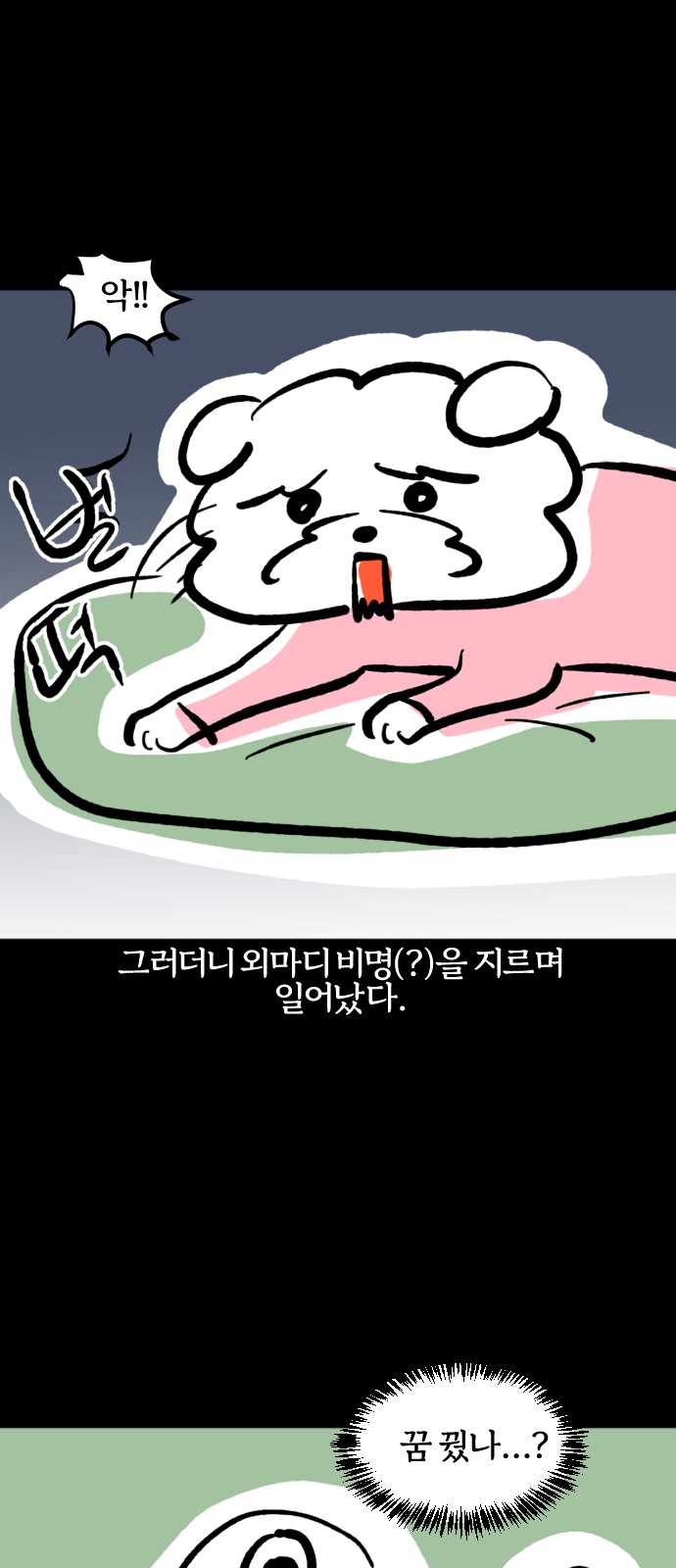5 페이지