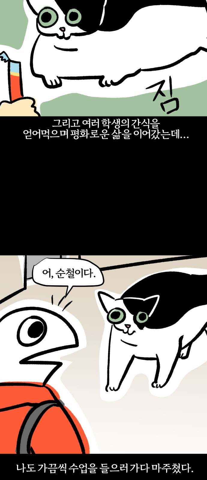 11 페이지