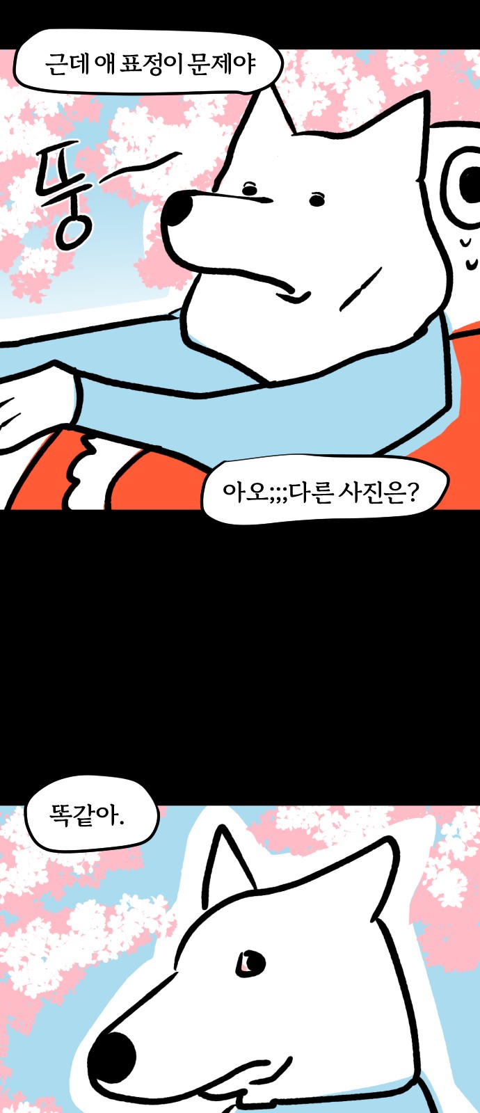 13 페이지