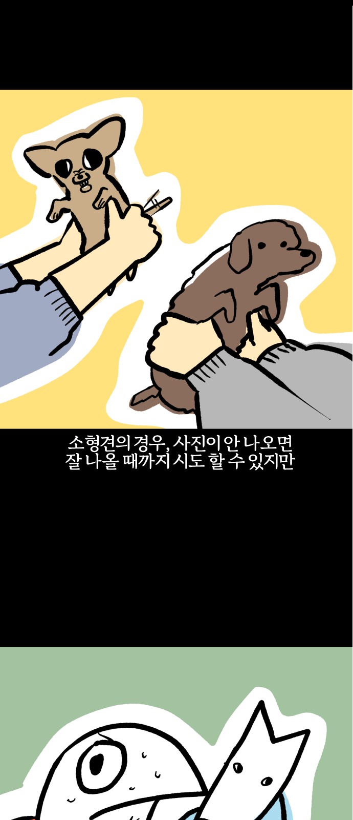 15 페이지