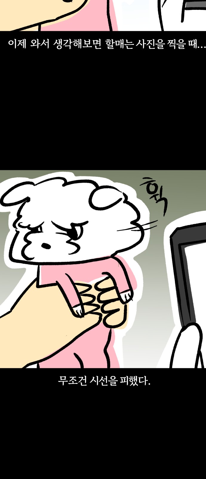19 페이지