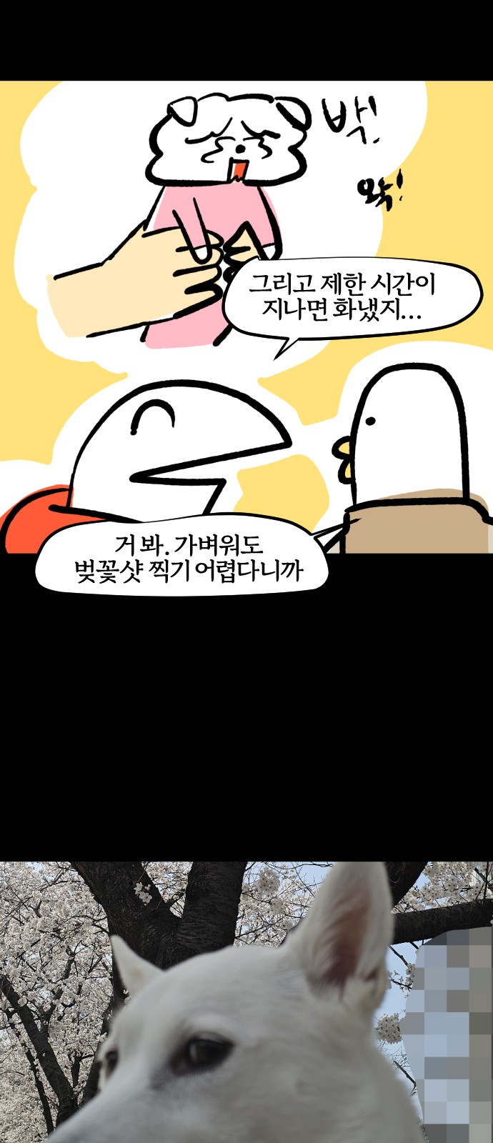 20 페이지