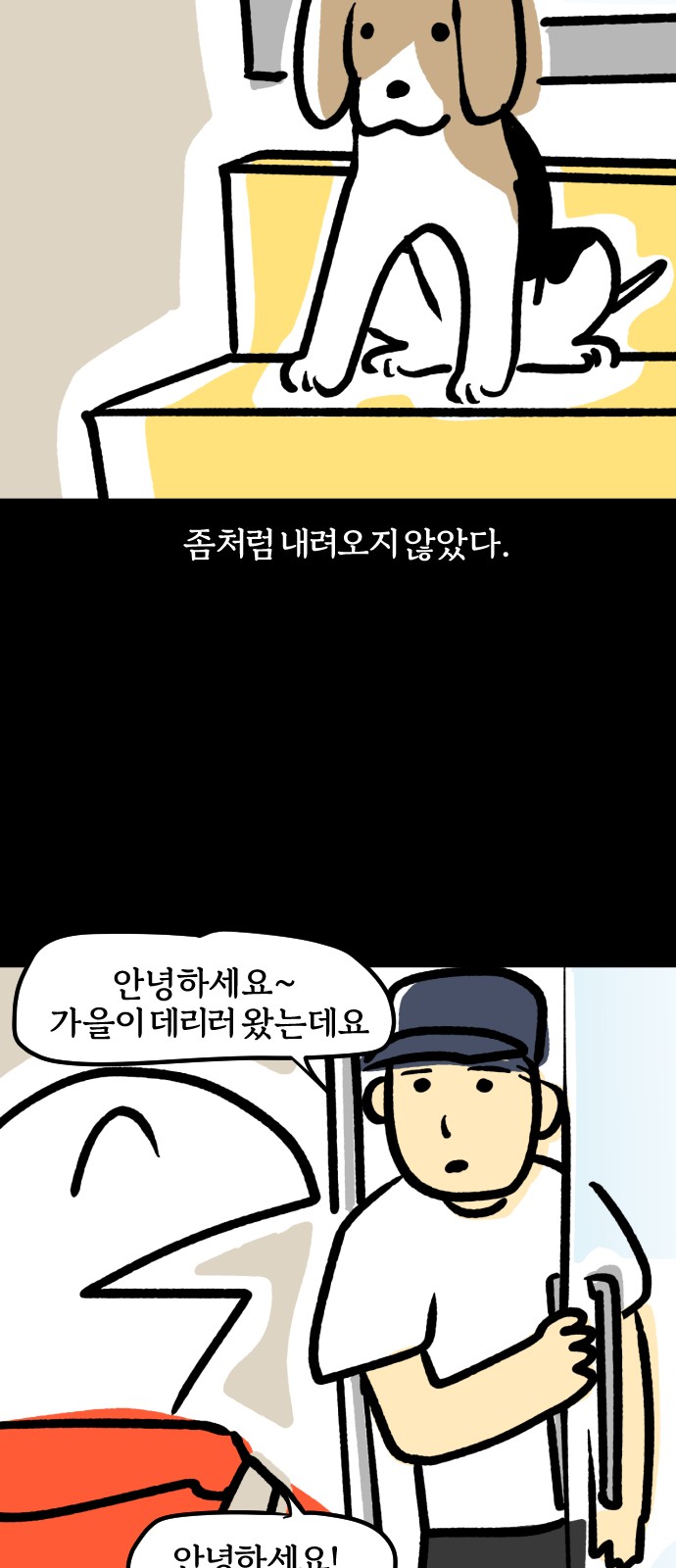 11 페이지