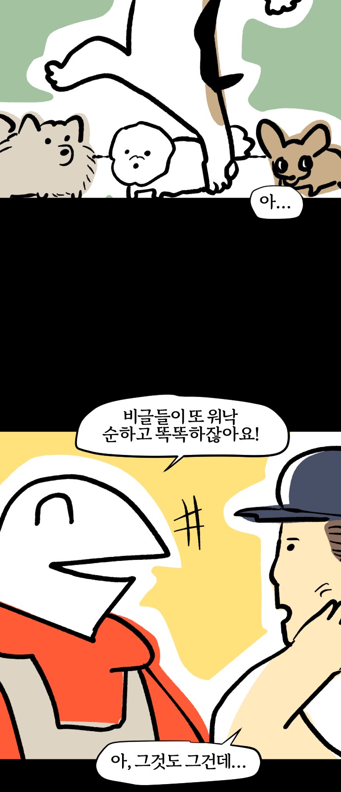 16 페이지