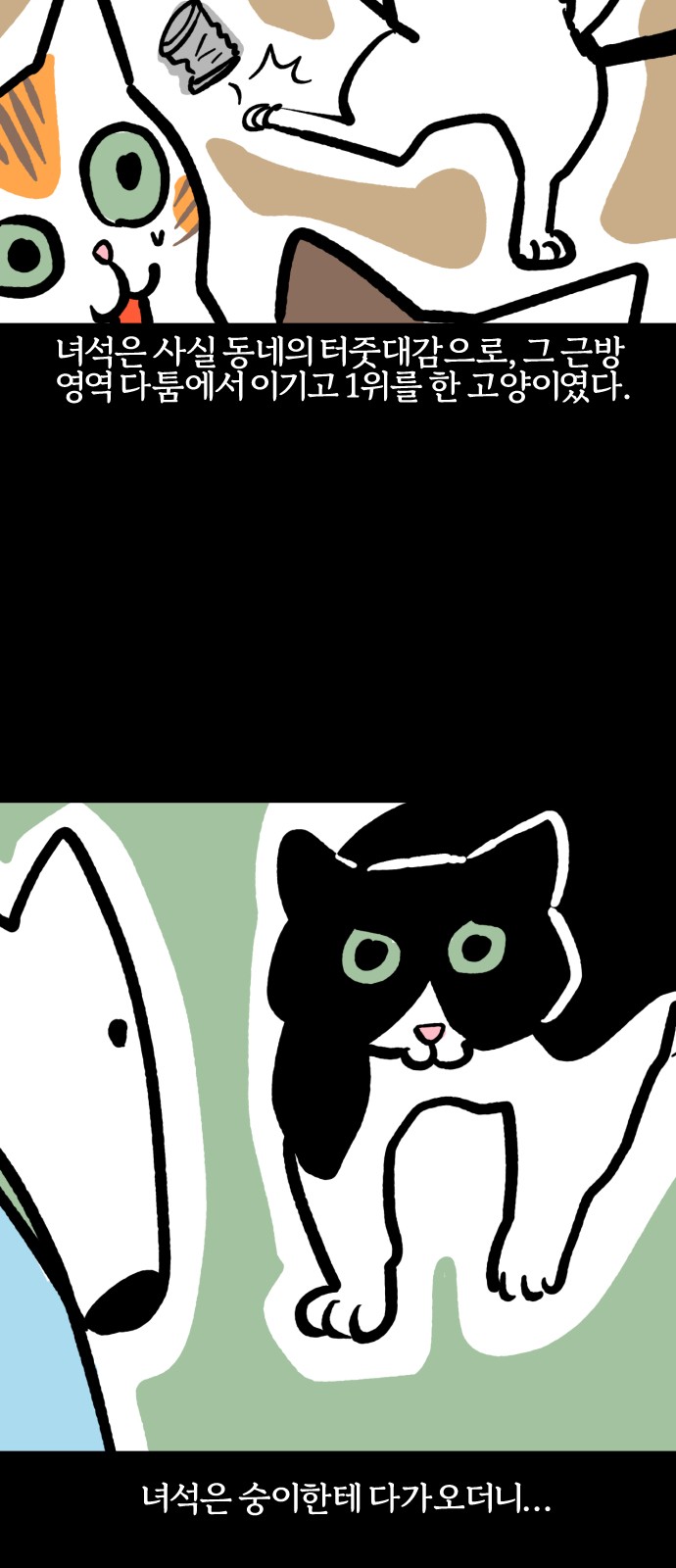 11 페이지
