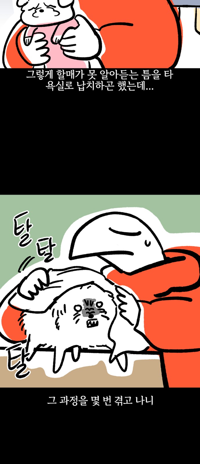 15 페이지