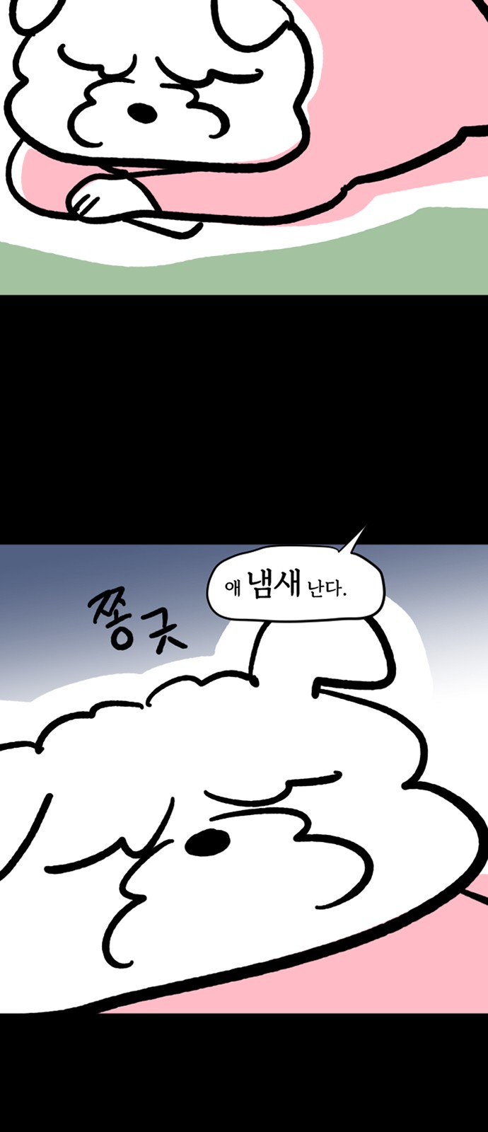 17 페이지
