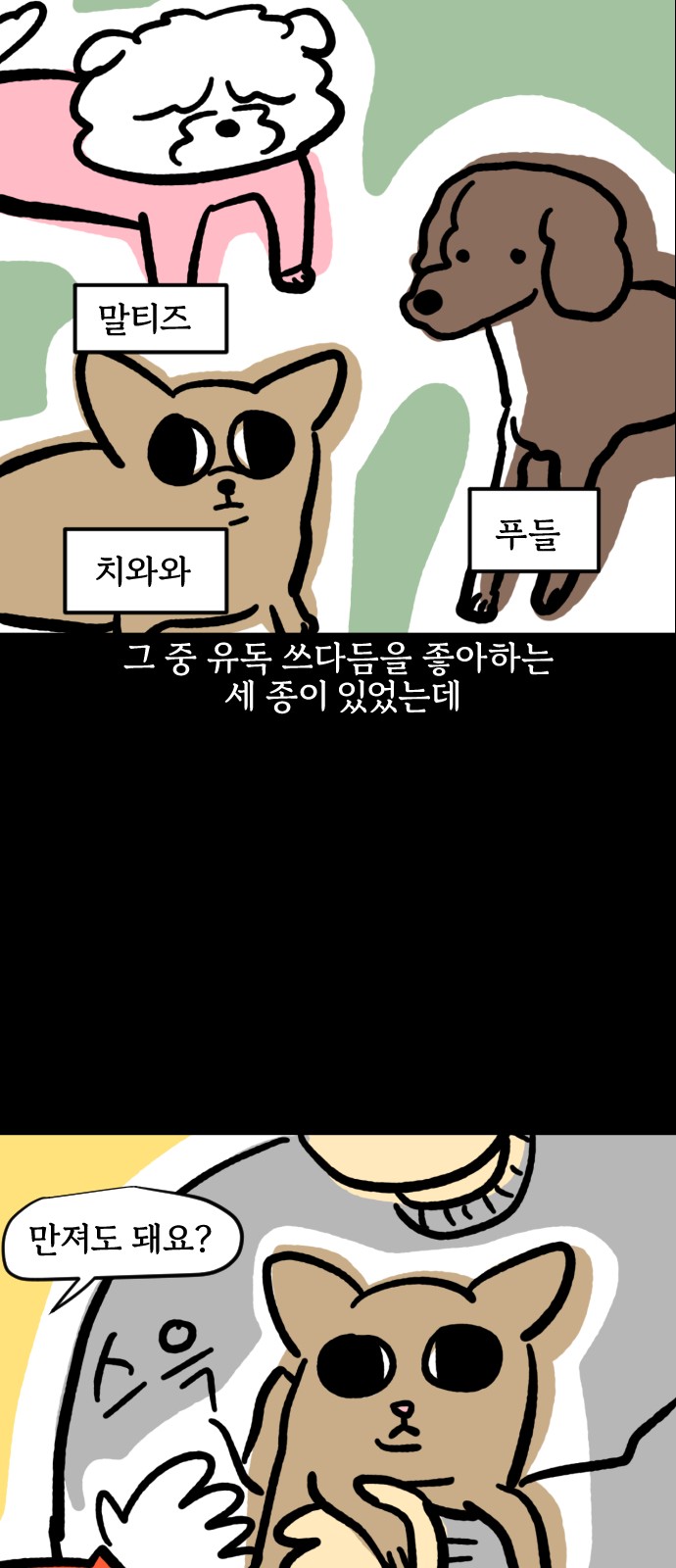 13 페이지