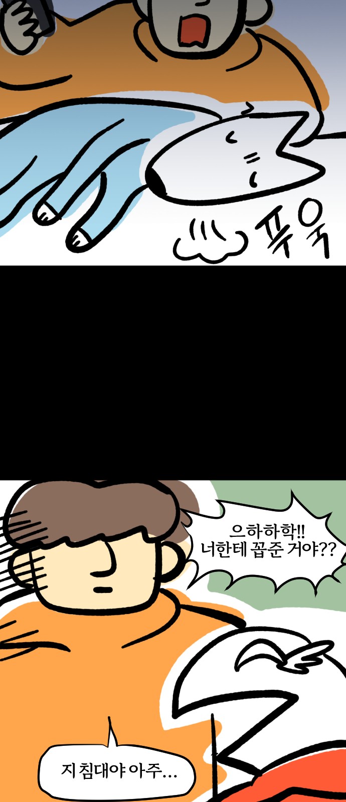 13 페이지