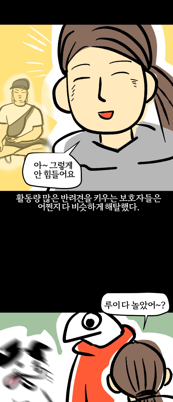 15 페이지