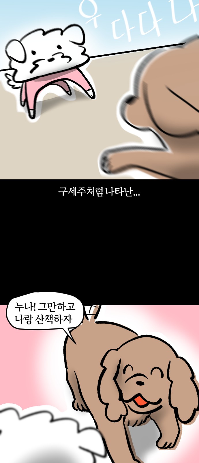 14 페이지