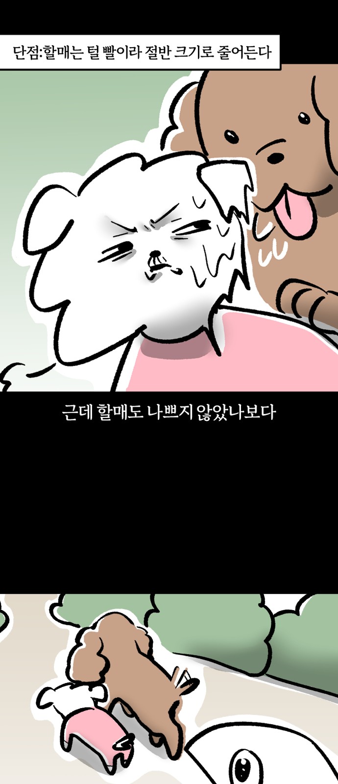 16 페이지