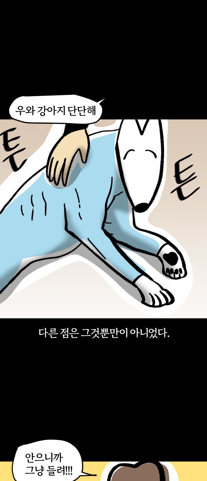 11 페이지