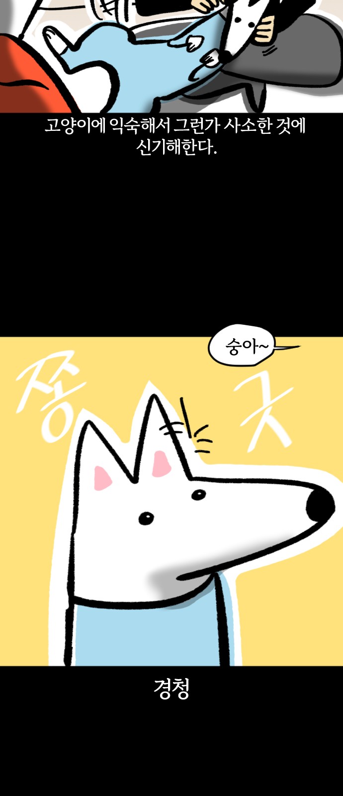 6 페이지