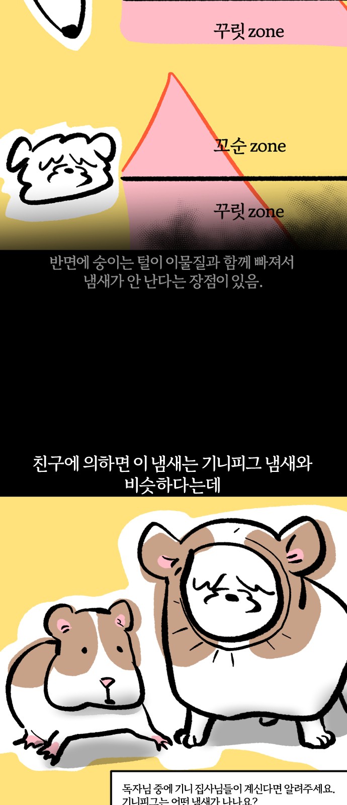 17 페이지