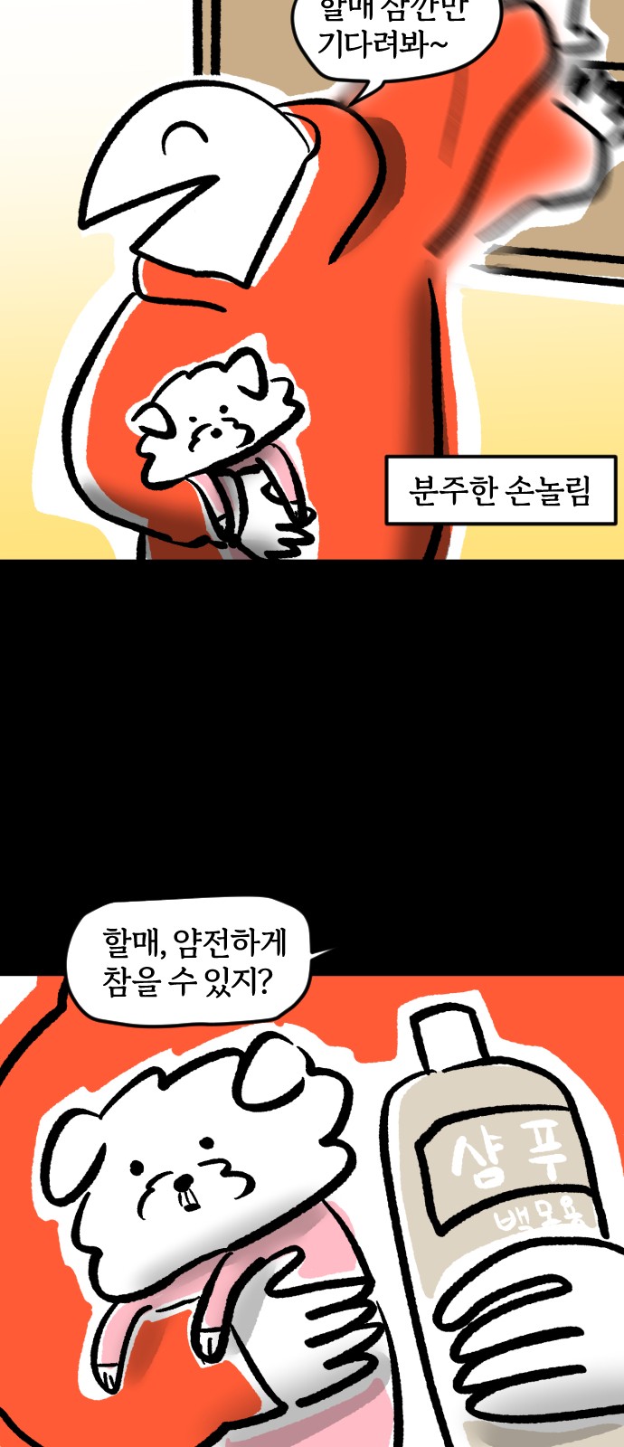 19 페이지