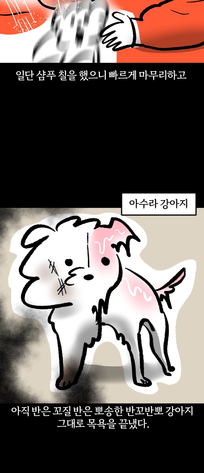 15 페이지