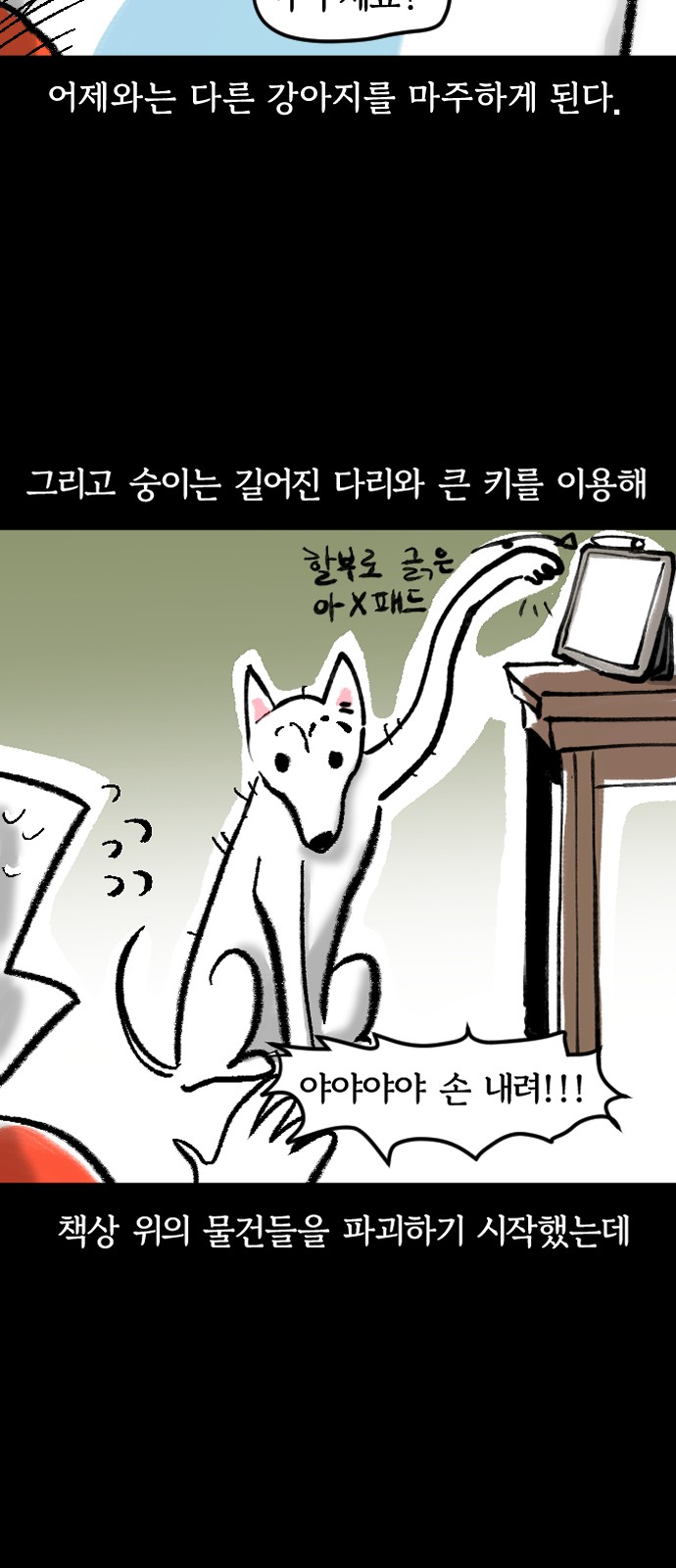 11 페이지