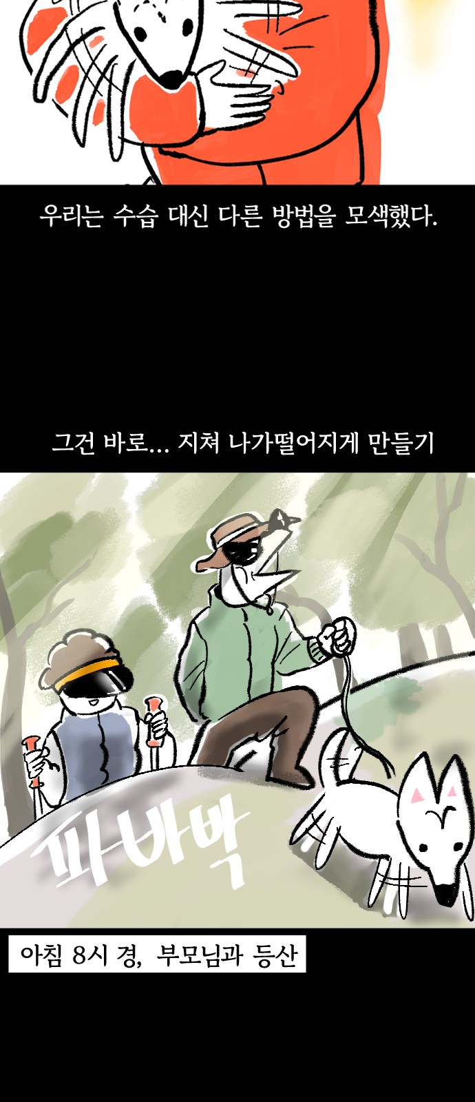 13 페이지