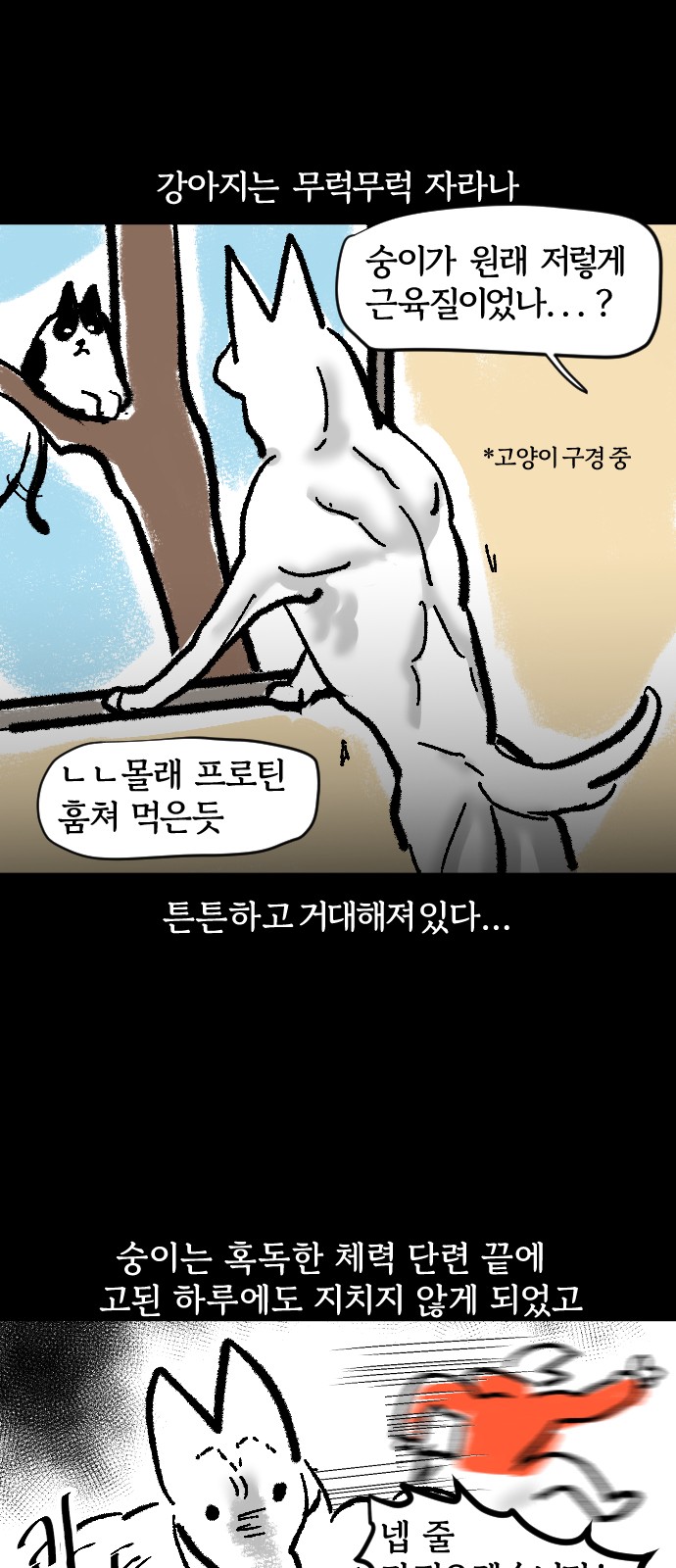 16 페이지