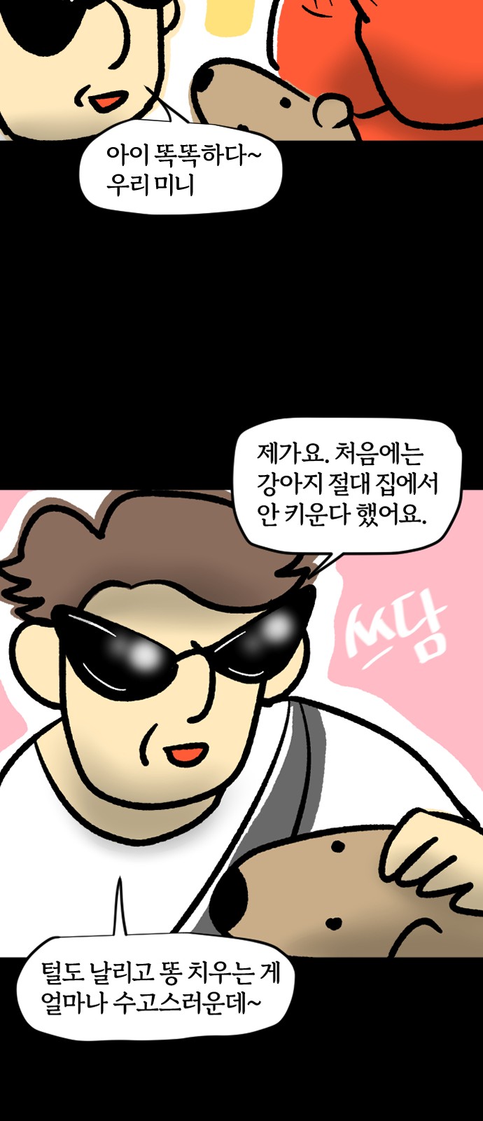 15 페이지