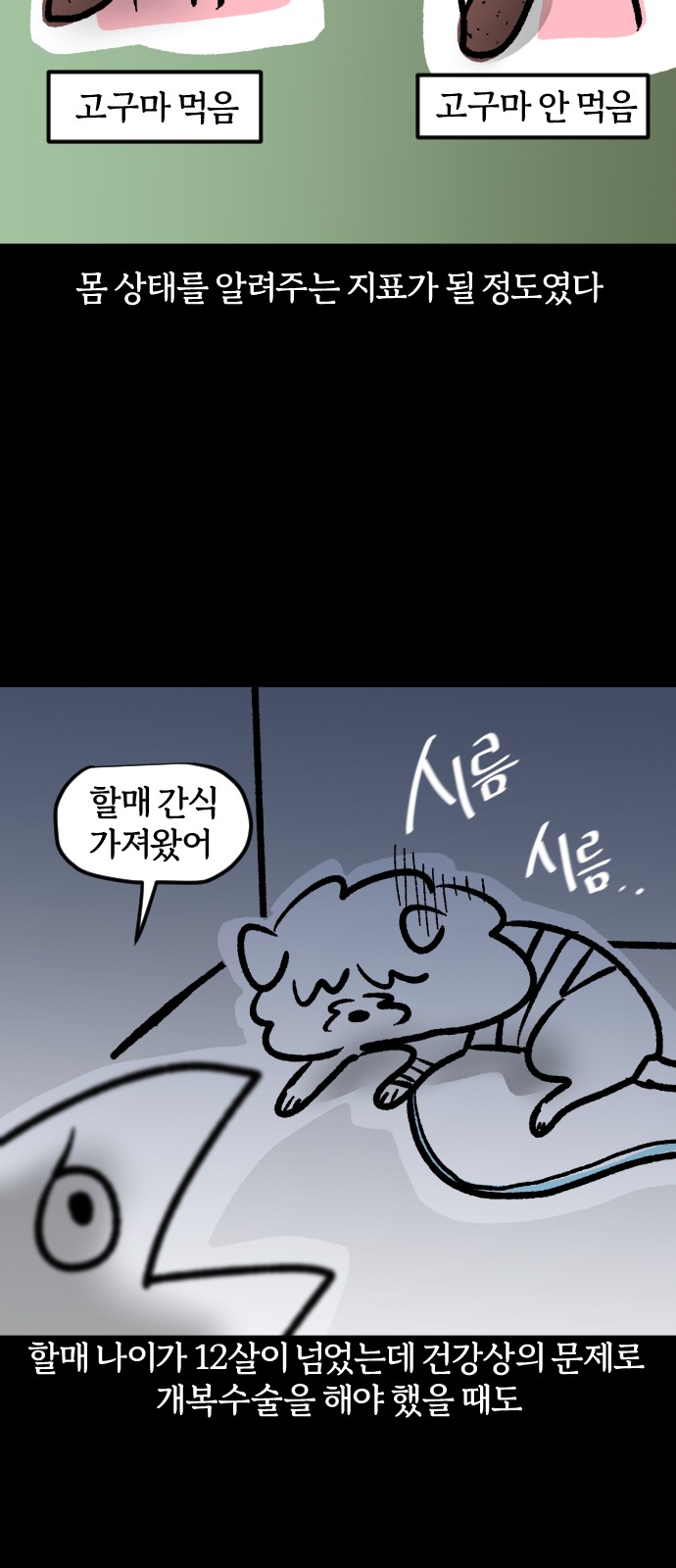 17 페이지
