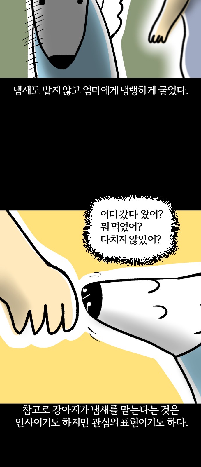 17 페이지
