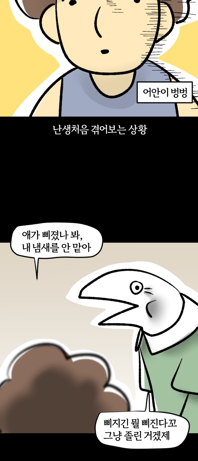 19 페이지