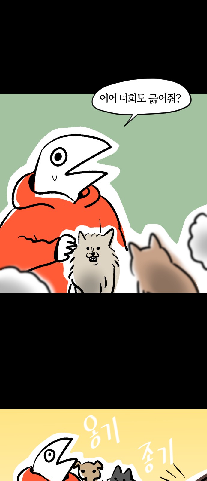11 페이지