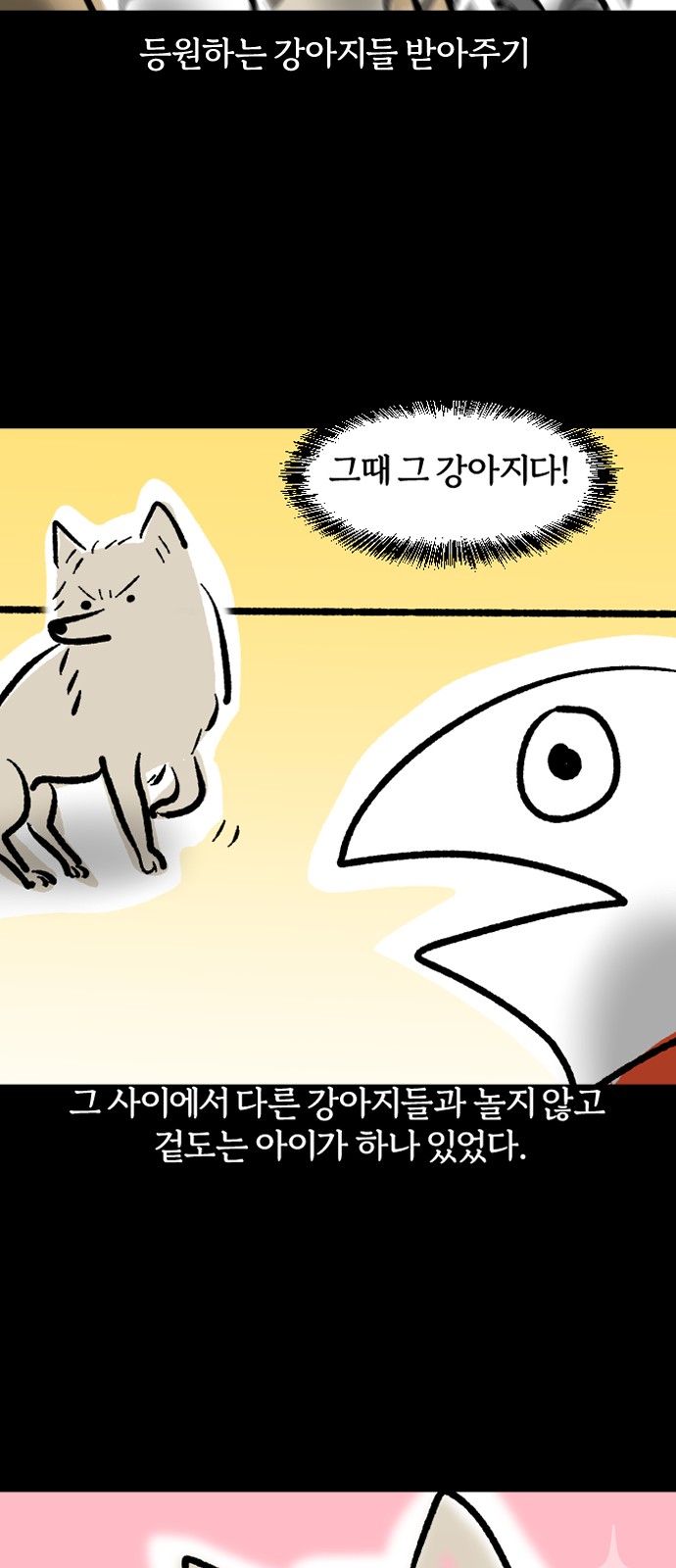 15 페이지
