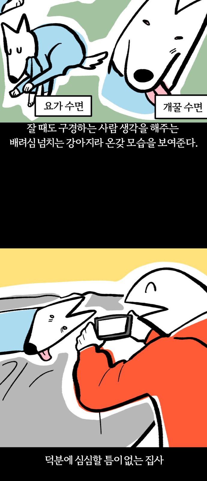 20 페이지
