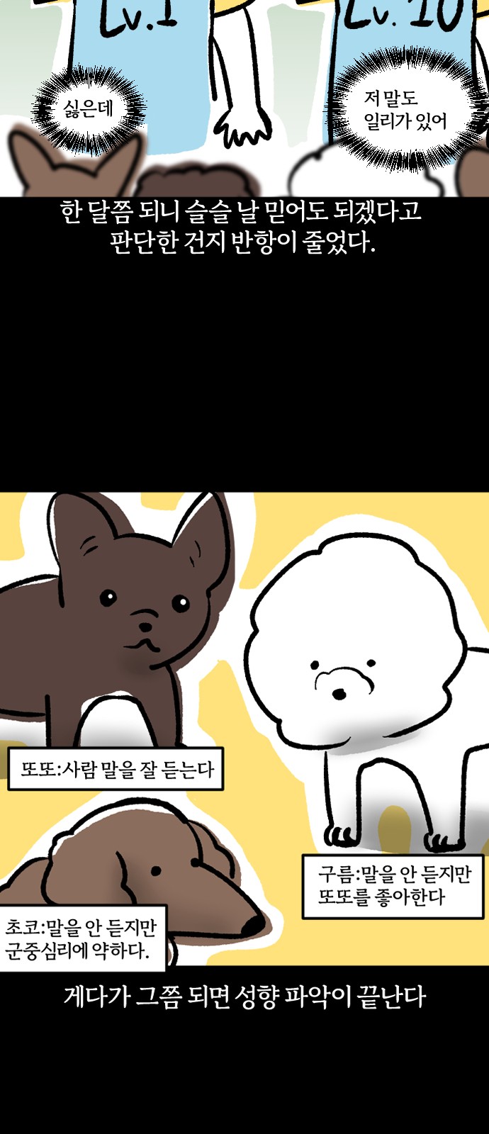 15 페이지