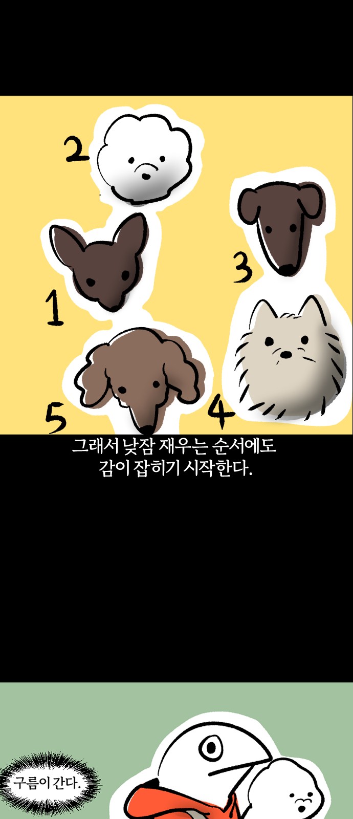 16 페이지