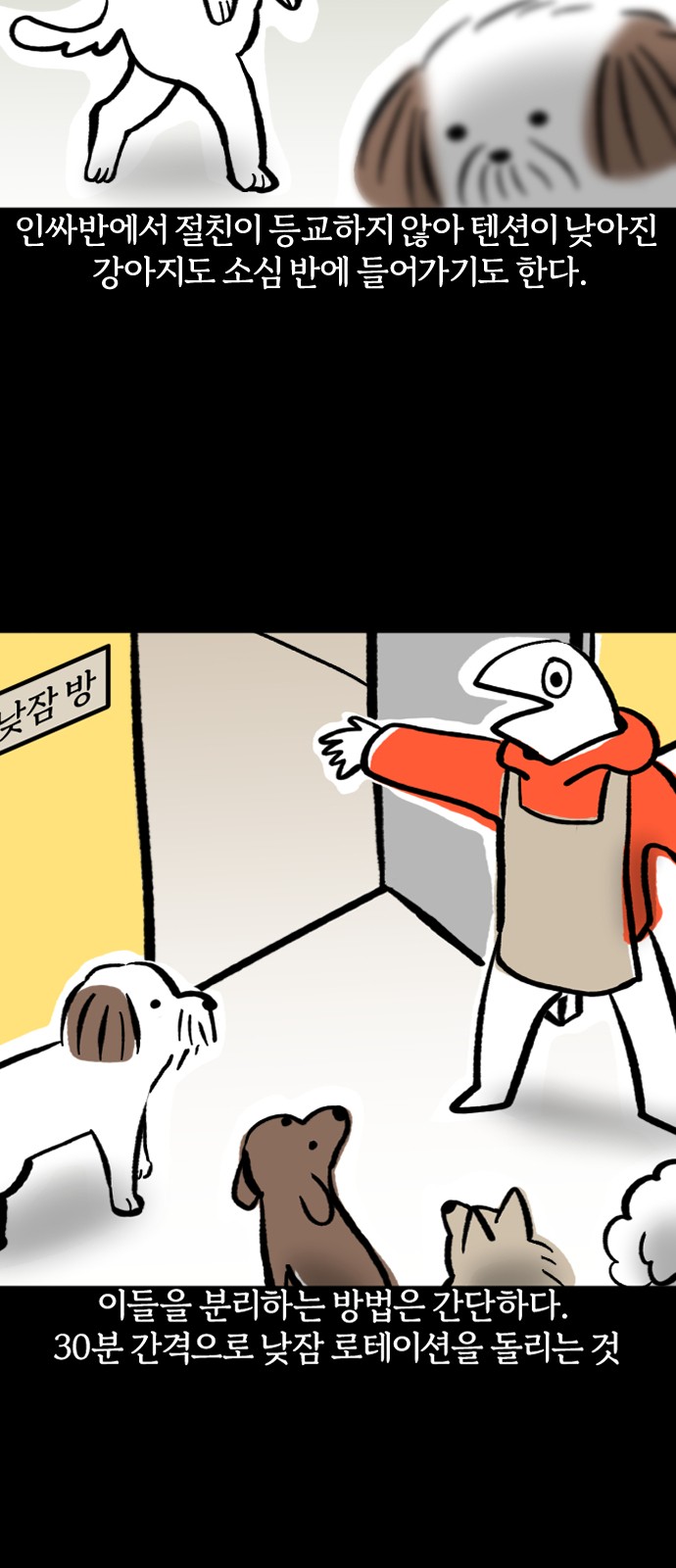 6 페이지