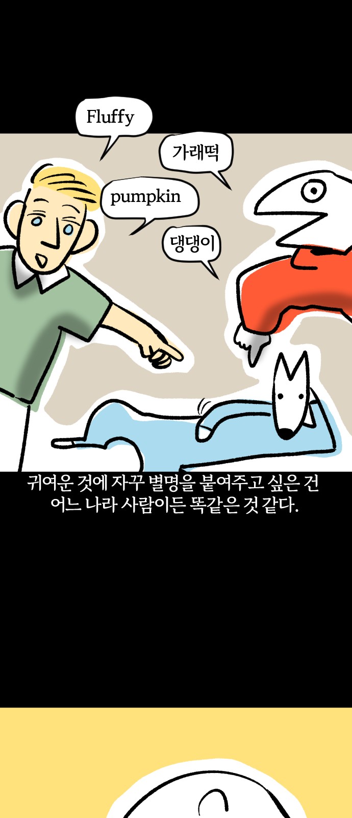 19 페이지