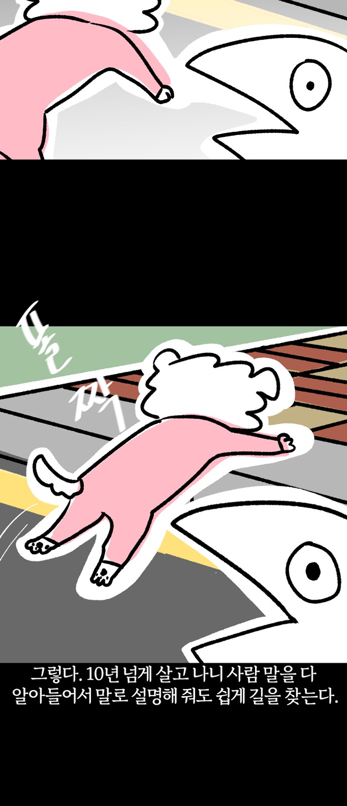 13 페이지