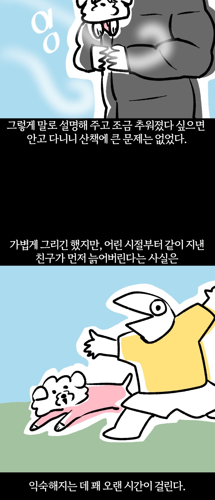 17 페이지