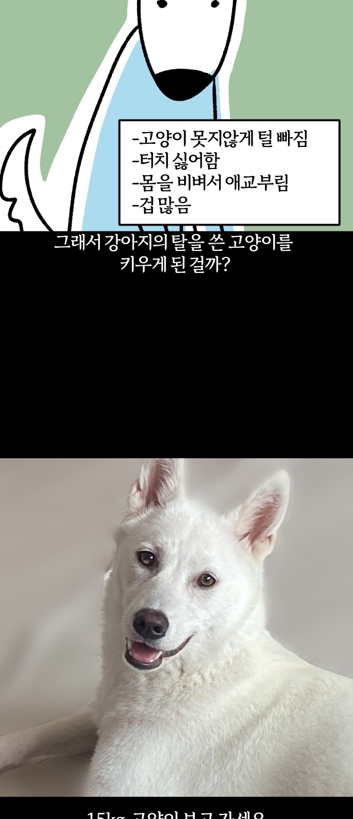 19 페이지