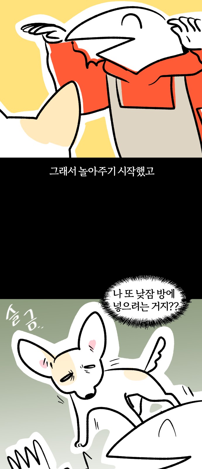 12 페이지