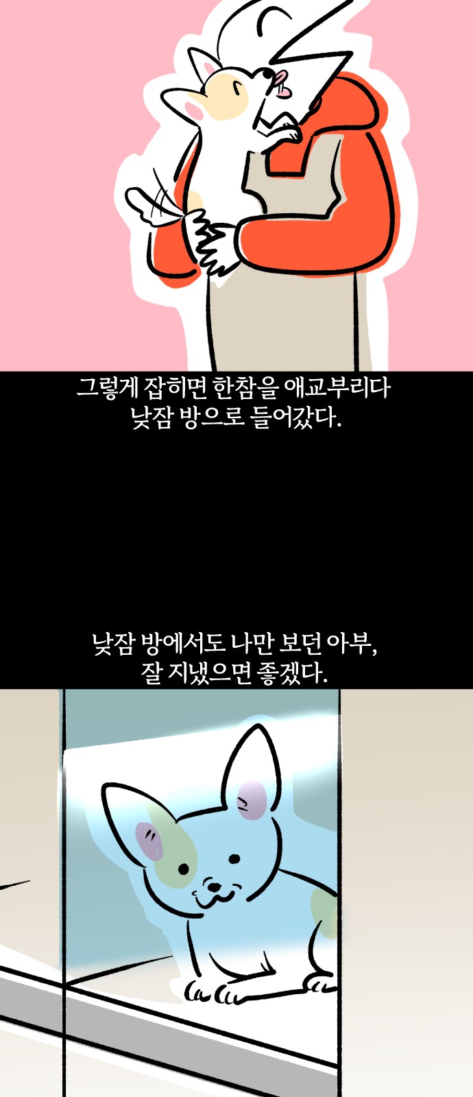 19 페이지