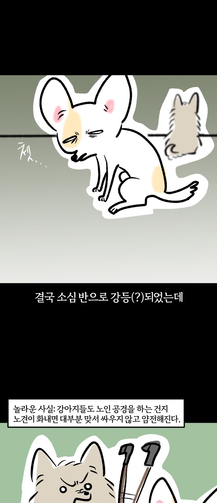 9 페이지