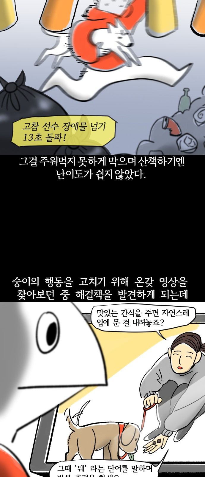 14 페이지