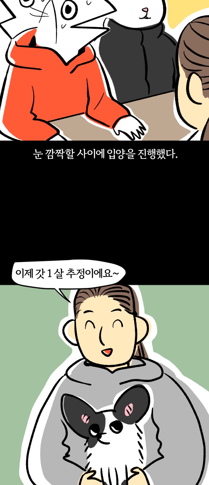 15 페이지