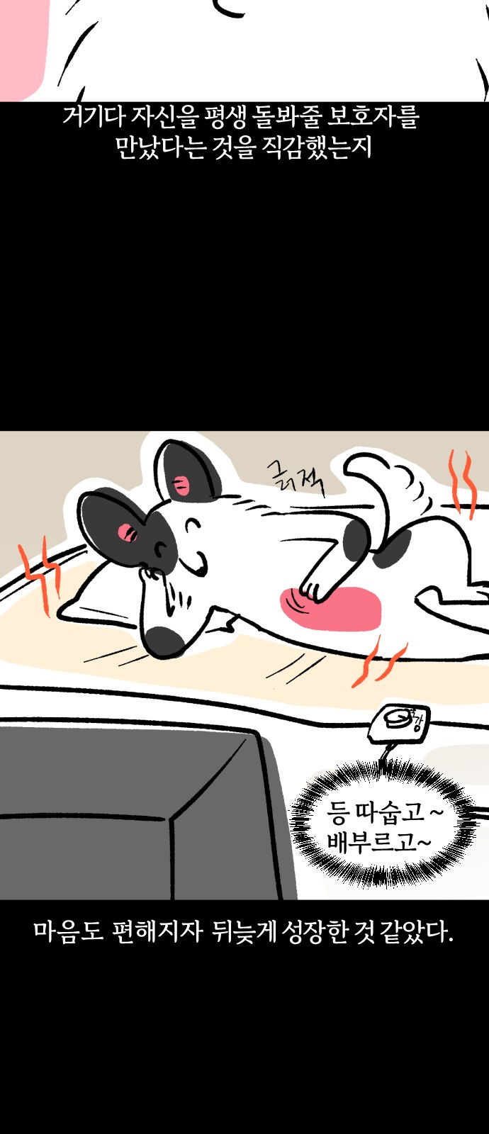 11 페이지