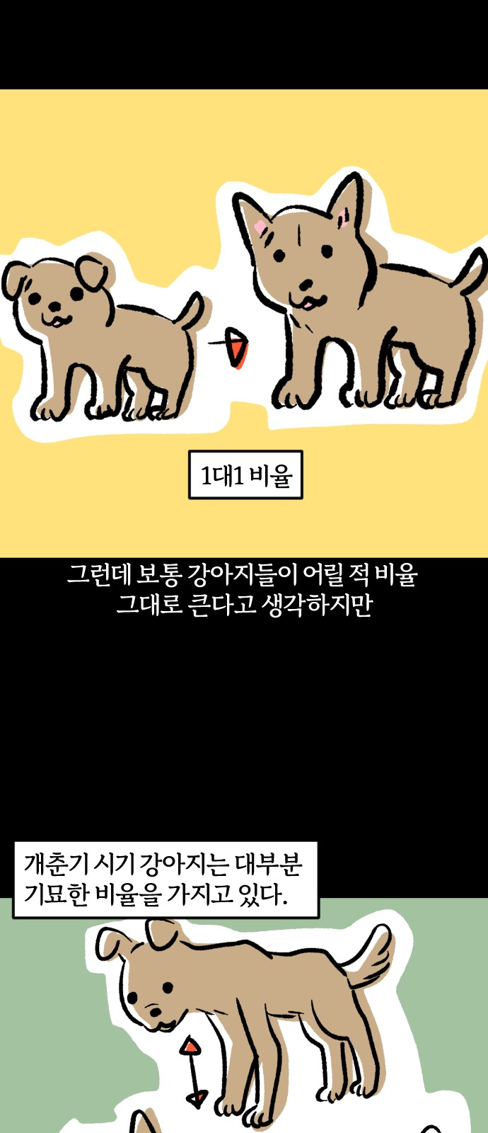 12 페이지