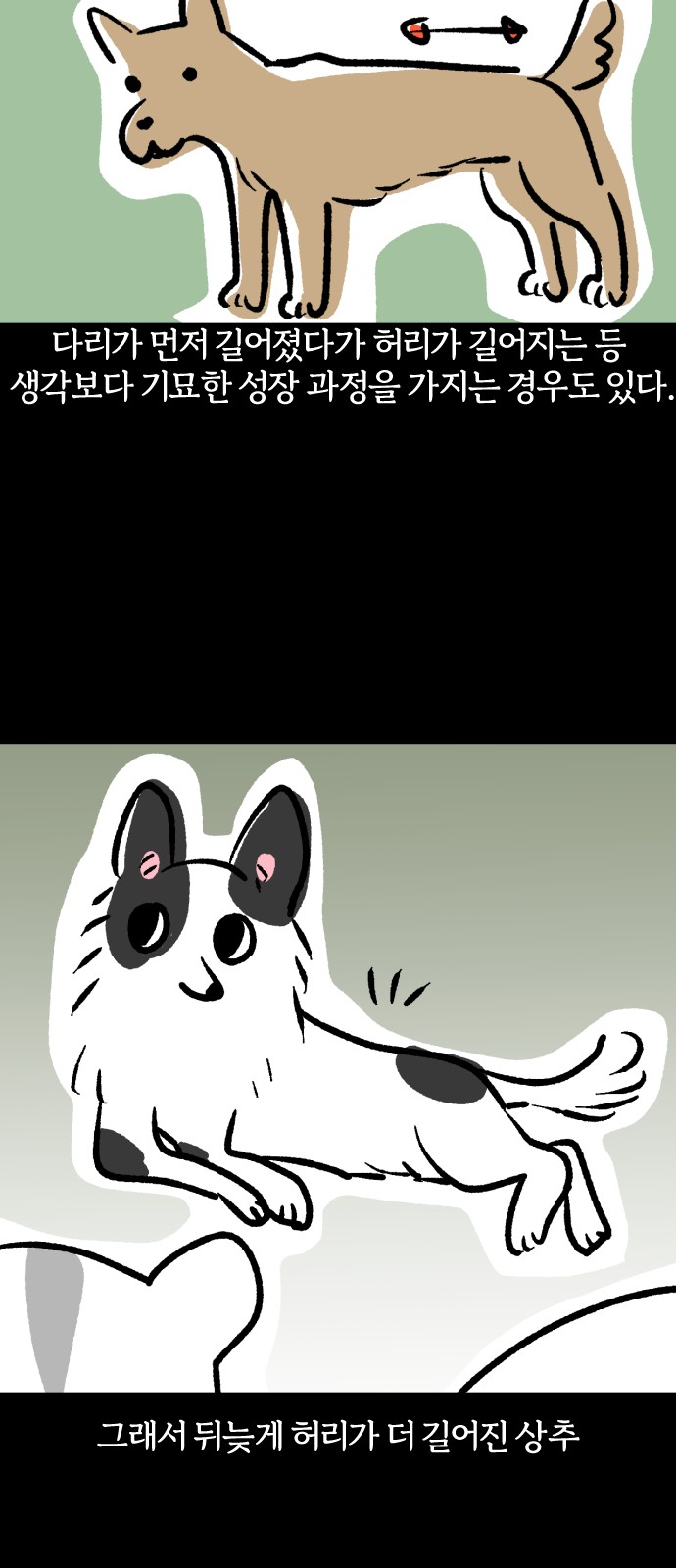 13 페이지